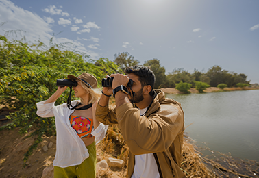 ~/Root_Storage/AR/EB_List_Page/Untitled-2_0011_bird-watching-image-0.png