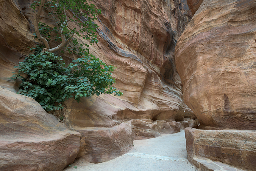 petra_gallery